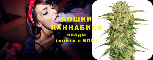 стаф Краснослободск