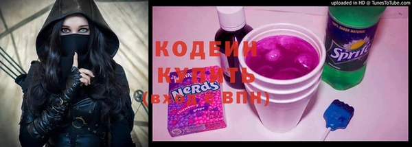 стаф Краснослободск