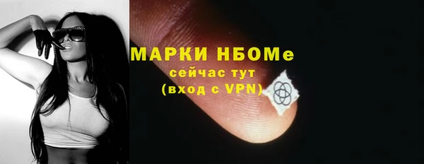 стаф Краснослободск